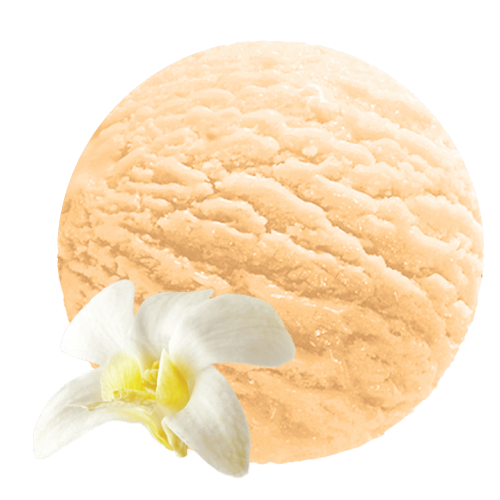 French Vanilla Horeca